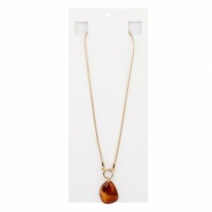 Collar Color Winter