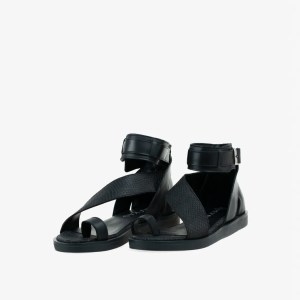 Sanadalia Halika Negro